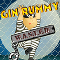 Gin Rummy